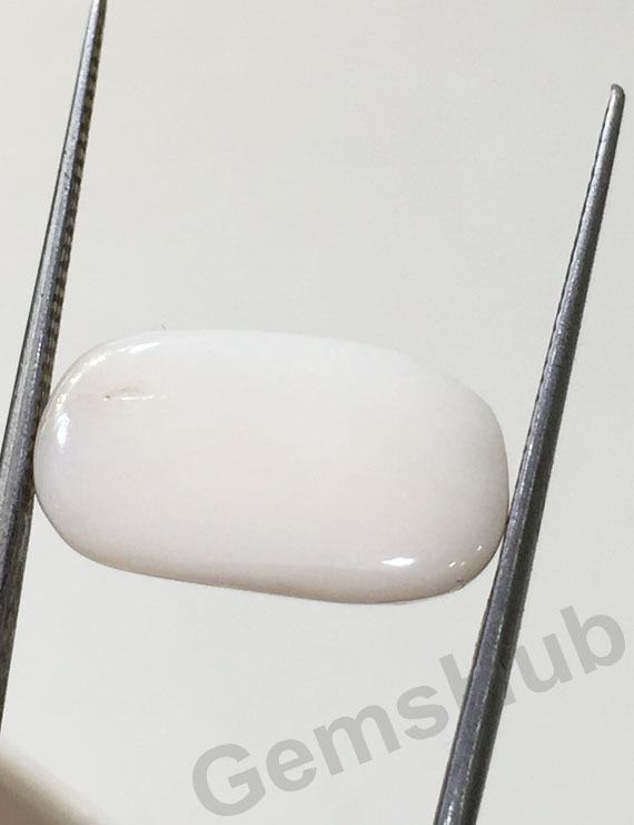 8.60 ct Natural Certified  White Coral/सफ़ेद मूंगा